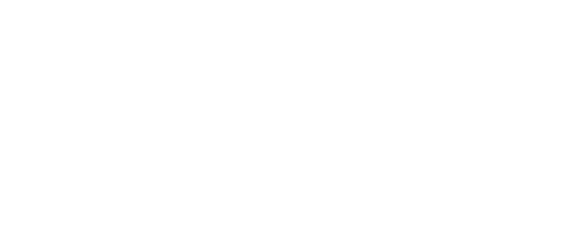 Zine.